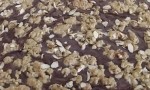 Fudge Nut Oatmeal Bars