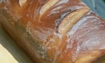 Tabitha’s Homemade Wheat Bread