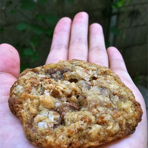 Old Fashion Oatmeal Cookies II Yum Taste